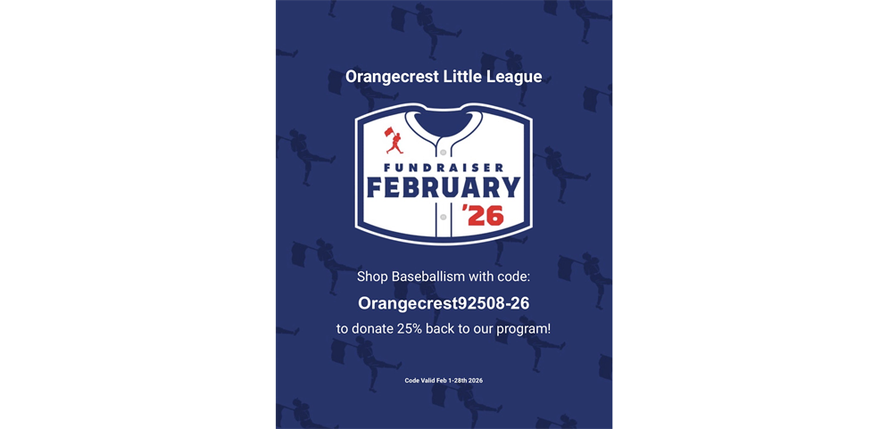 Baseballism Fundraiser